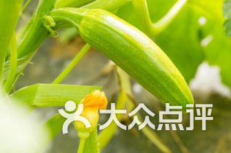 喜源灶具日用雜品超市 美食與日用品的奇妙交匯，探索周邊好滋味